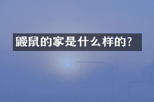 鼹鼠的家是什么样的？