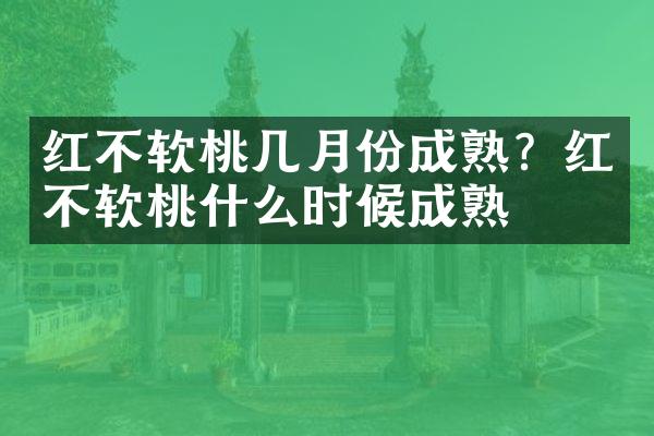 红不软桃几月份成熟？红不软桃什么时候成熟