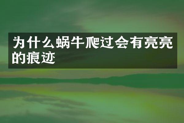 为什么蜗牛爬过会有亮亮的痕迹