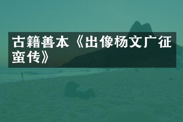 古籍善本《出像杨文广征蛮传》