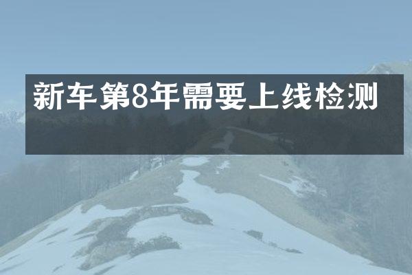 新车第8年需要上线检测吗