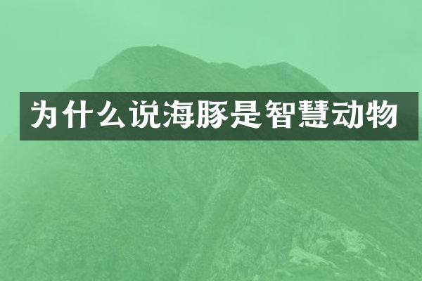 为什么说海豚是智慧动物
