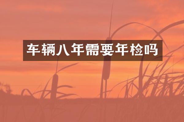 车辆八年需要年检吗