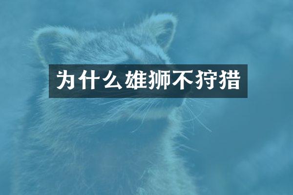 为什么雄狮不狩猎