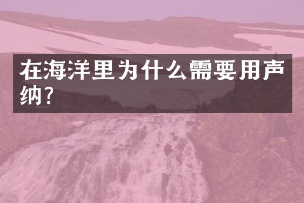 在海洋里为什么需要用声纳?