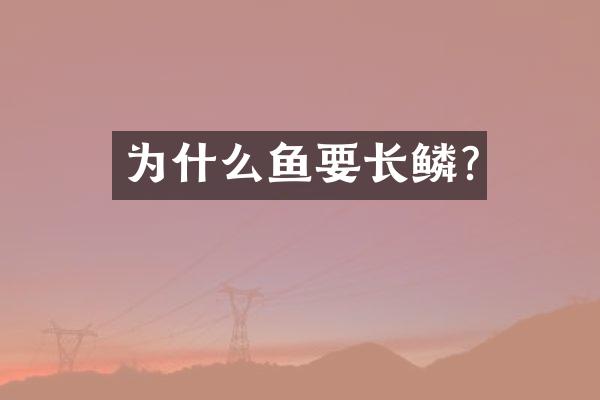 为什么鱼要长鳞?