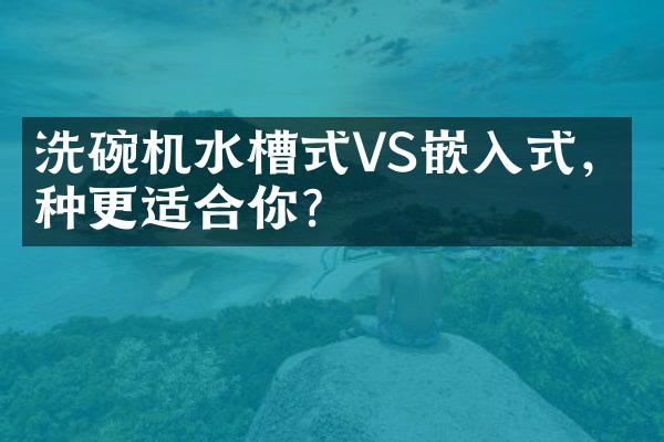 洗碗机水槽式VS嵌入式，哪种更适合你？