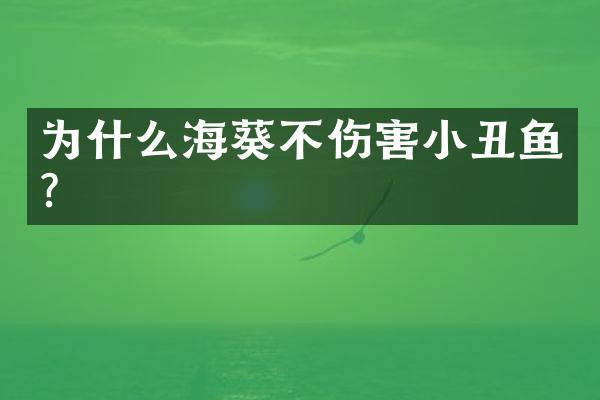 为什么海葵不伤害小丑鱼?