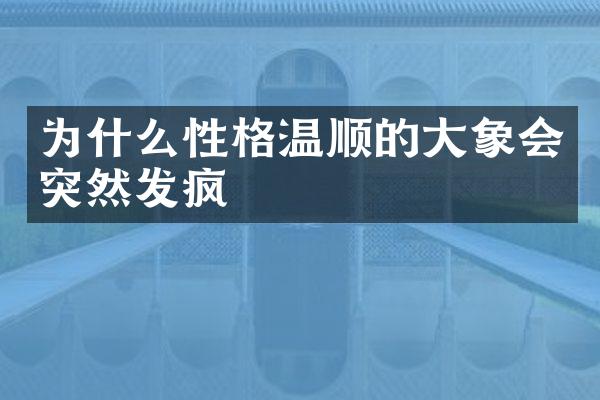 为什么性格温顺的大象会突然发疯
