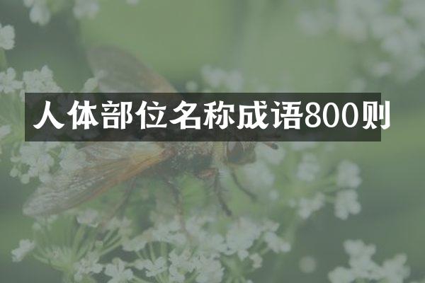 人体部位名称成语800则