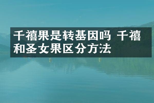 千禧果是转基因吗 千禧果和圣女果区分方法