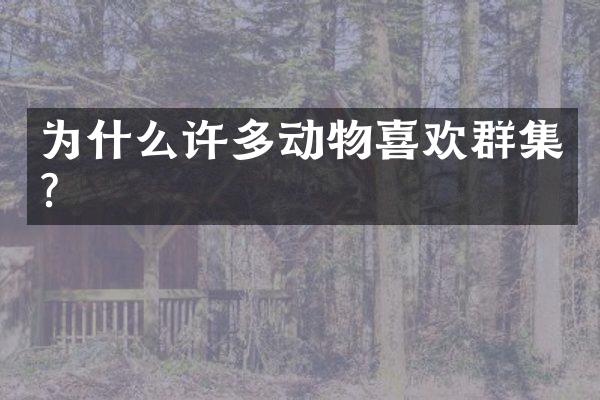为什么许多动物喜欢群集？