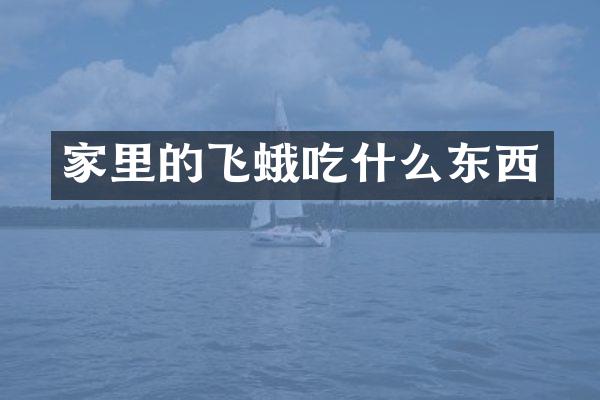 家里的飞蛾吃什么东西