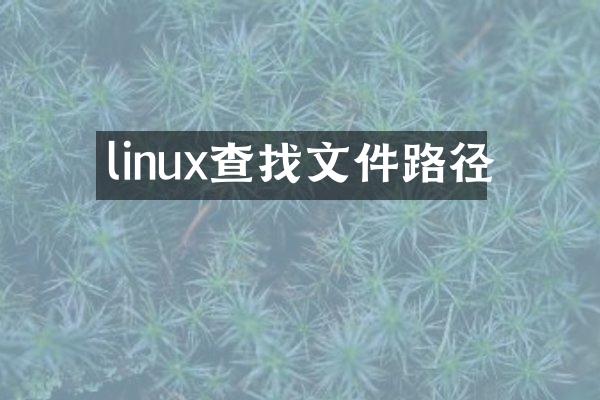 linux查找文件路径