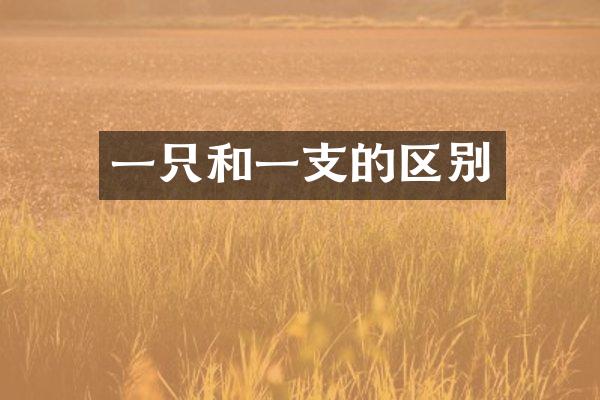 一只和一支的区别