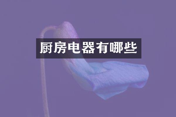 厨房电器有哪些