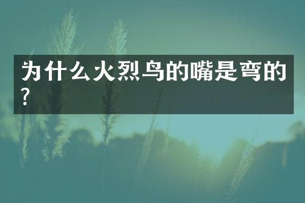 为什么火烈鸟的嘴是弯的?