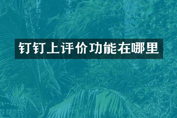 钉钉上评价功能在哪里