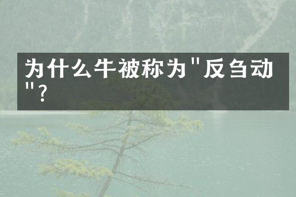 为什么牛被称为"反刍动物"?