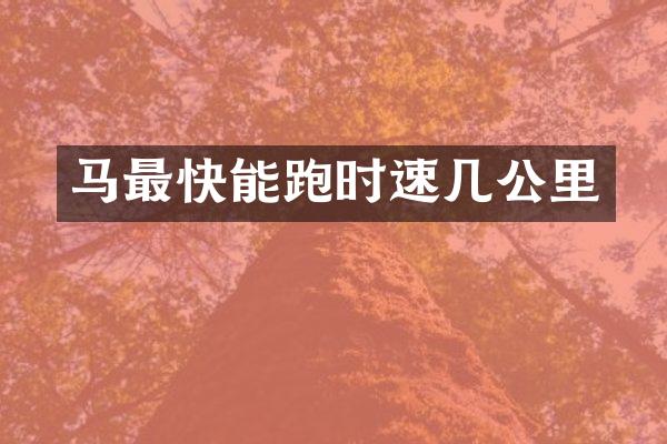 马最快能跑时速几公里