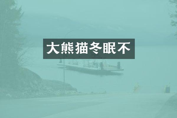 大熊猫冬眠不