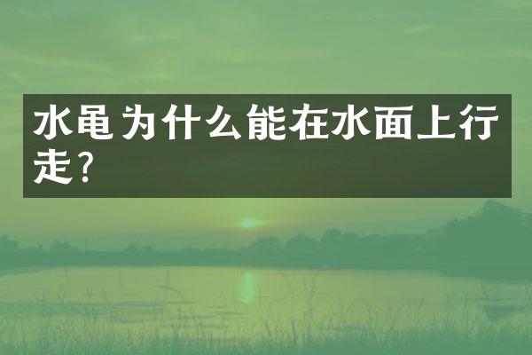 水黾为什么能在水面上行走？