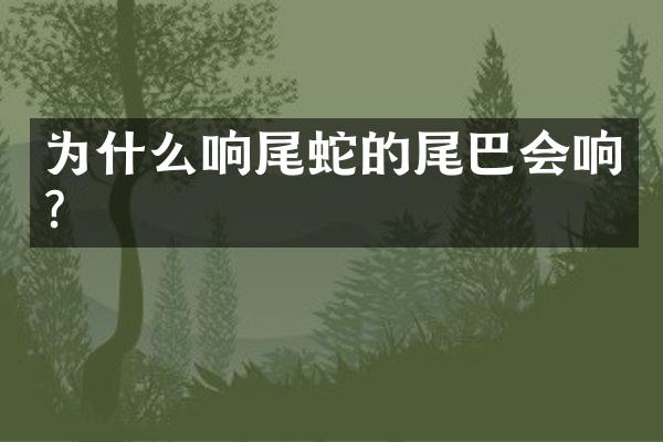 为什么响尾蛇的尾巴会响?