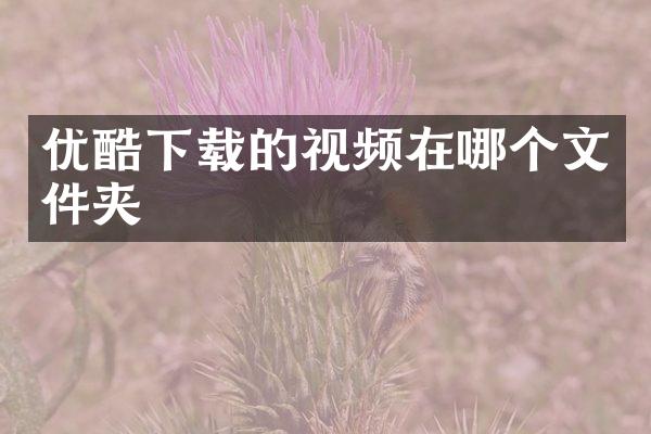 优酷下载的视频在哪个文件夹