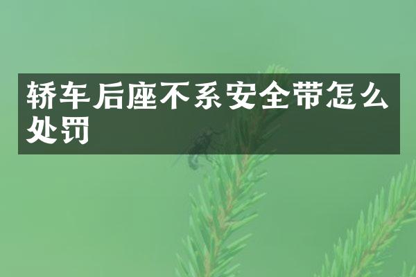 轿车后座不系安全带怎么处罚