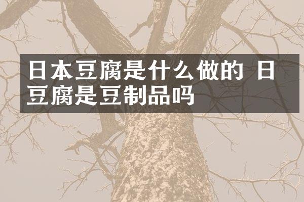 日本豆腐是什么做的 日本豆腐是豆制品吗