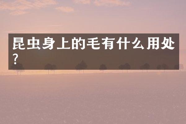 昆虫身上的毛有什么用处？