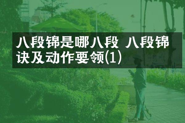 八段锦是哪八段 八段锦口诀及动作要领(1)