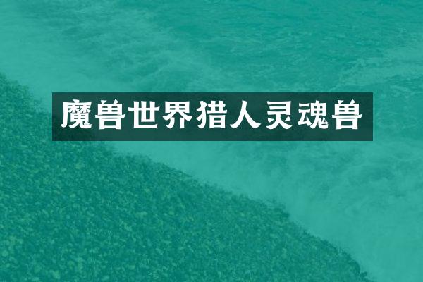 魔兽世界猎人灵魂兽