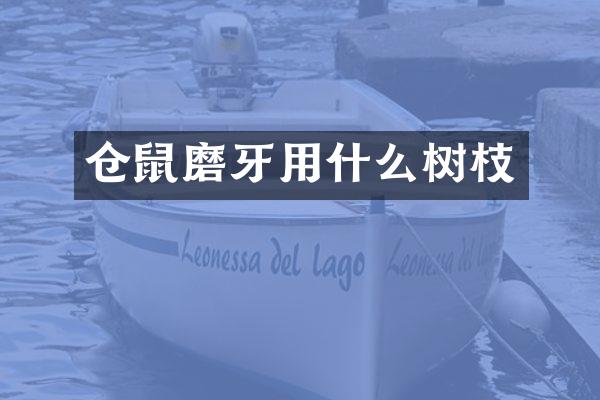 仓鼠磨牙用什么树枝