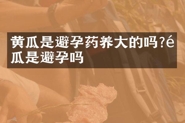 黄瓜是避孕药养大的吗?黄瓜是避孕吗