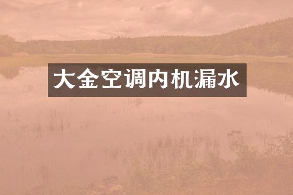大金空调内机漏水