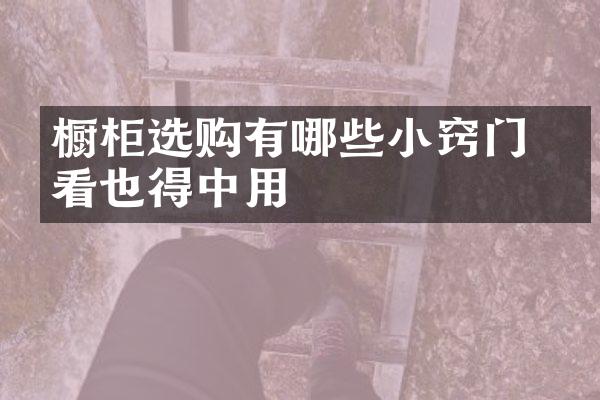 橱柜选购有哪些小窍门 中看也得中用