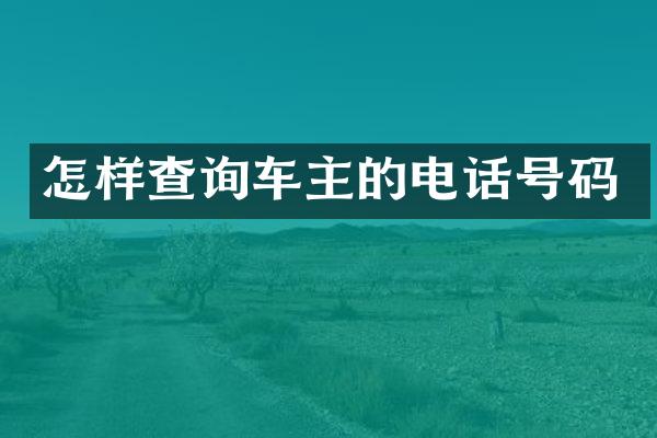 怎样查询车主的电话号码