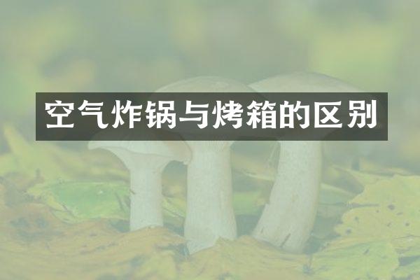 空气炸锅与烤箱的区别