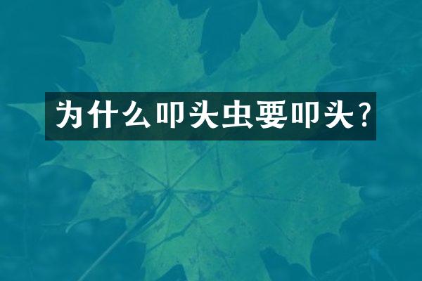 为什么叩头虫要叩头?