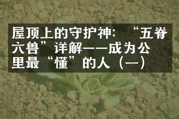 屋顶上的守护神：“五脊六兽”详解——成为公园里最“懂”的人（一）
