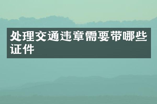 处理交通违章需要带哪些证件