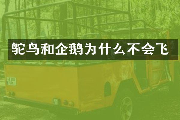 鸵鸟和企鹅为什么不会飞