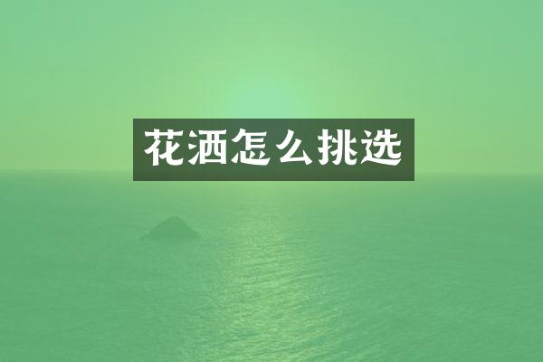 花洒怎么挑选