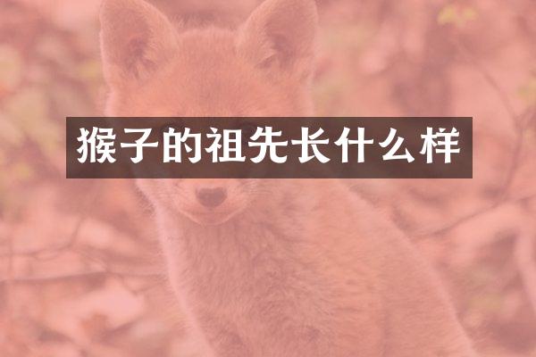 猴子的祖先长什么样