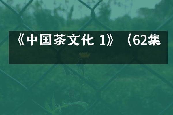 《中国茶文化 1》（62集）