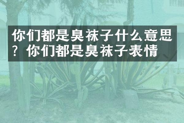 你们都是臭袜子什么意思？你们都是臭袜子表情包