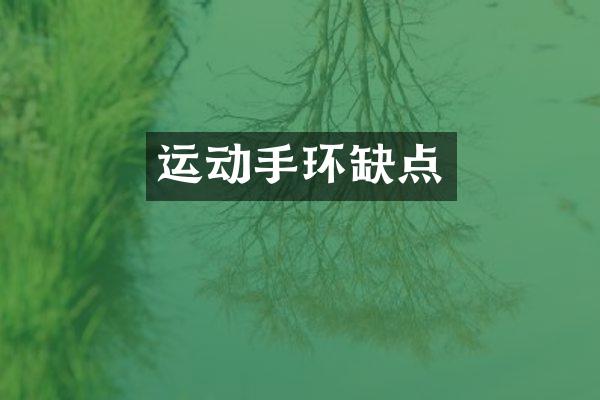 运动手环缺点