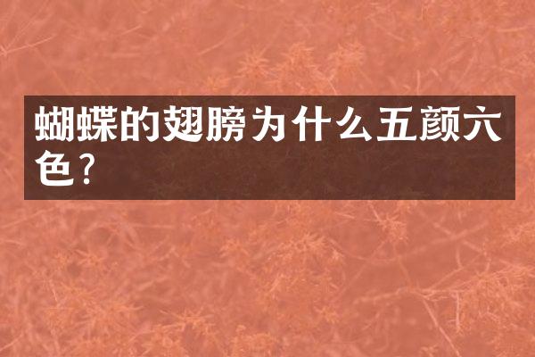 蝴蝶的翅膀为什么五颜六色？