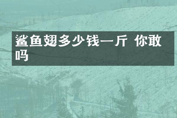 鲨鱼翅多少钱一斤 你敢吃吗